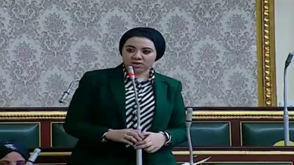 النائبة أميرة صابر