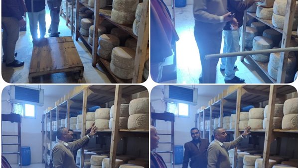 جانب من الحملة