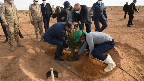 صورة من المشروع