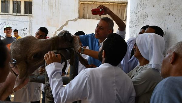 صورة من القافلة