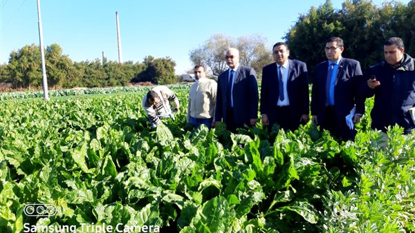 الزراعة تتابع المحاصيل