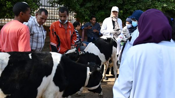 القافلة البيطرية