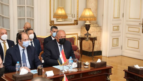 سامح شكري وعباس كامل