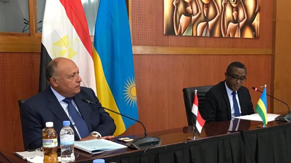 سامح شكري ونظيره