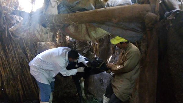 صورة م الحملة