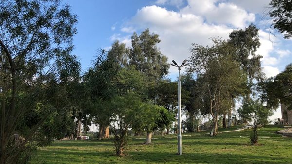 حديقة الياسمين