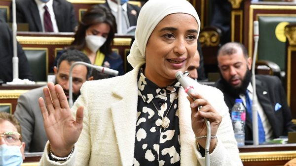 البرلمانية أميرة