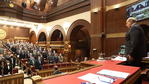 مجلس الشيوخ - صورة