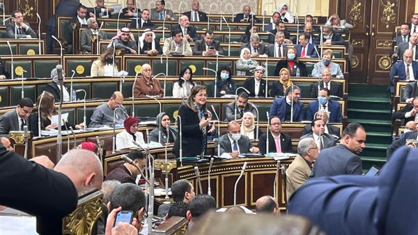 هالة السعيد وزيرة