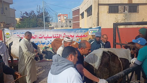 جانب من الحدث