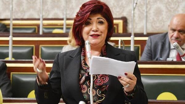 النائبة نورا على