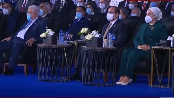 صورة السيدة انتصار