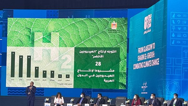 مصطفى مدبولي رئيس