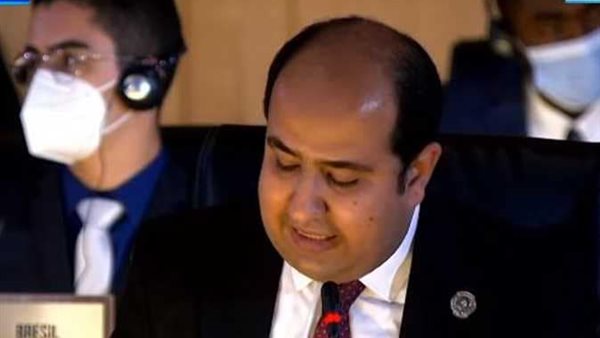 ممثل مصر بالجلسة