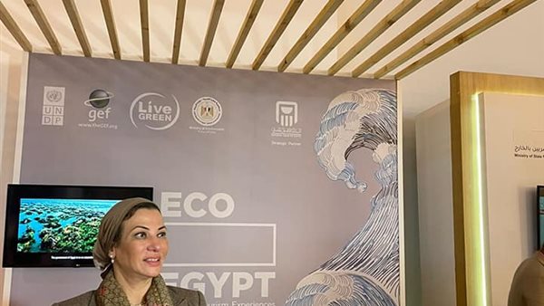 ياسمين فؤاد وزيرة