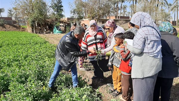 مدارس حقلية 