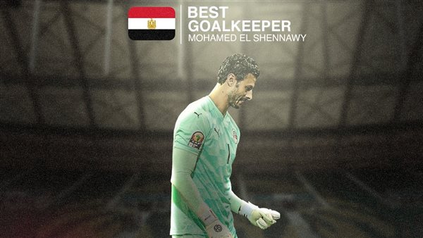 محمد الشناوي