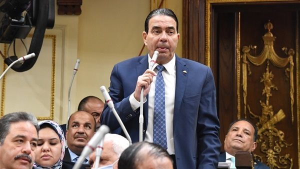 أيمن أبو العلا