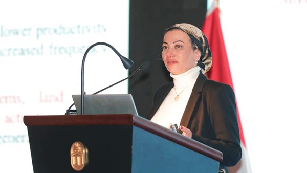 ياسمين فؤاد وزيرة