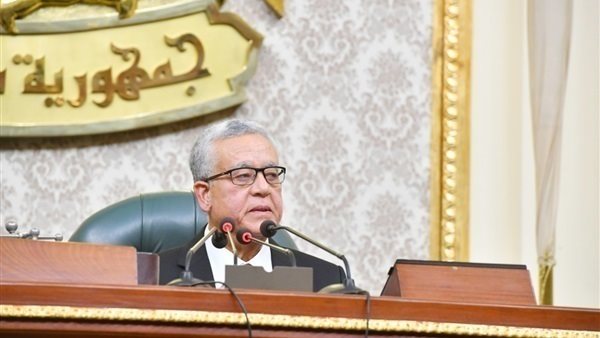  الدكتور حنفي جبالي