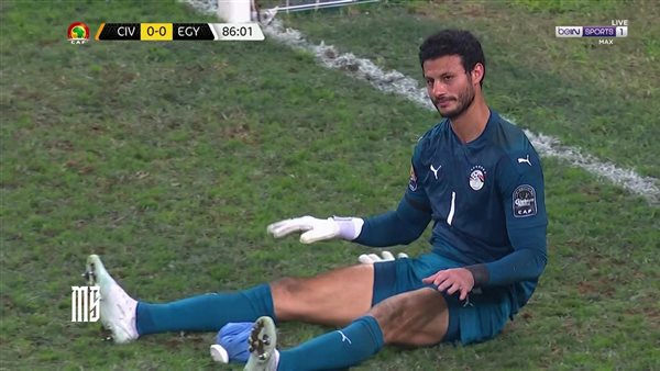 محمد الشناوي 