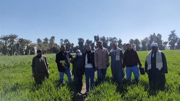 جانب من الحدث