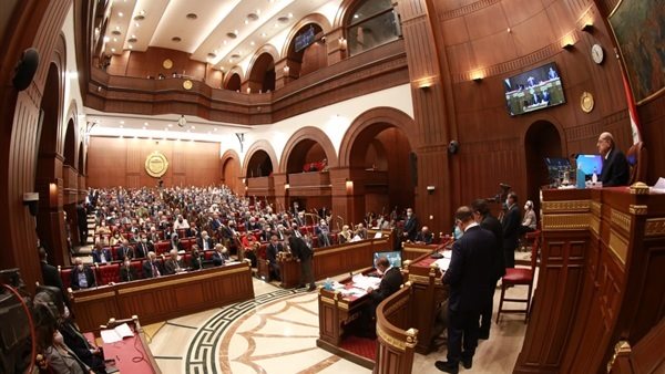 مجلس الشيوخ - صورة