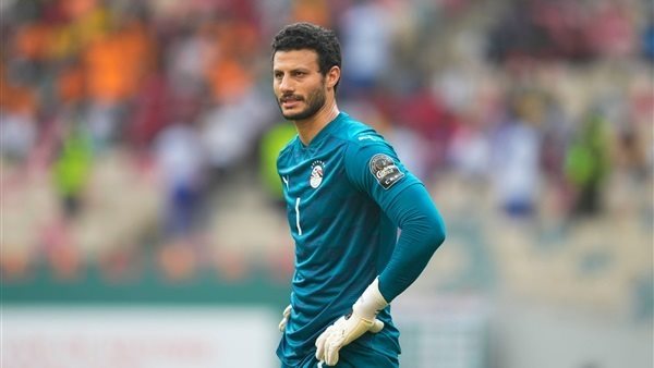 محمد الشناوي