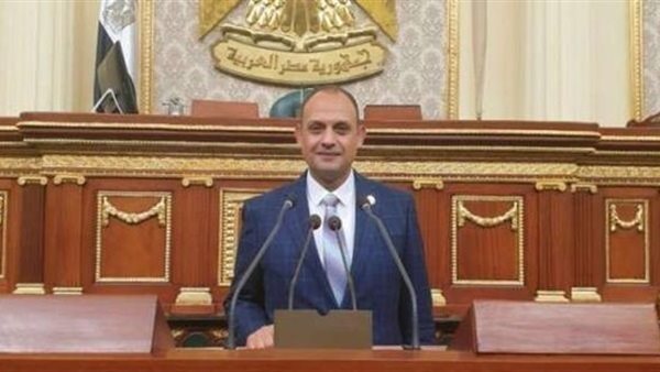 النائب هشام الجاهل