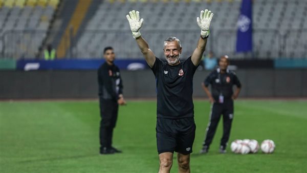 ميشيل يانكون