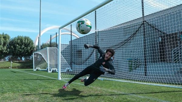 مصطفى شوبير