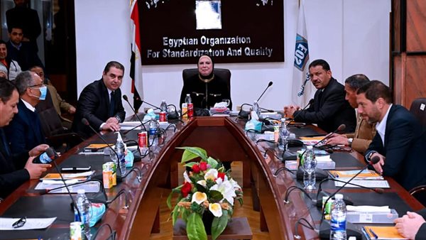 نيفين جامع وزيرة