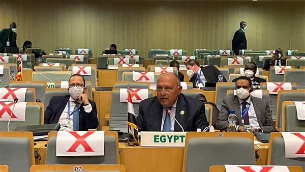 سامح شكري وزير الخارجية