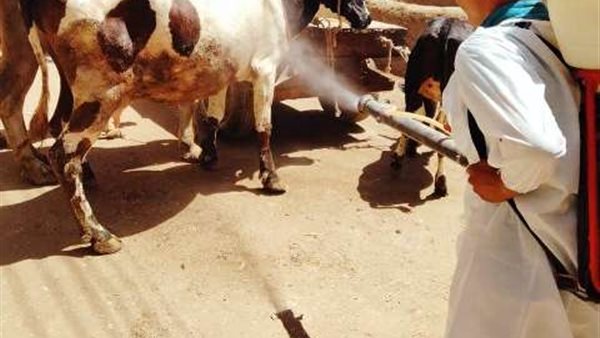 صورة من حملات الرش