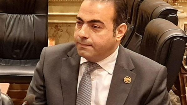 النائب محمود حسين