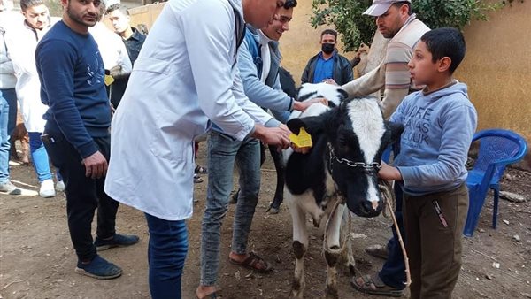 القوافل الطبية