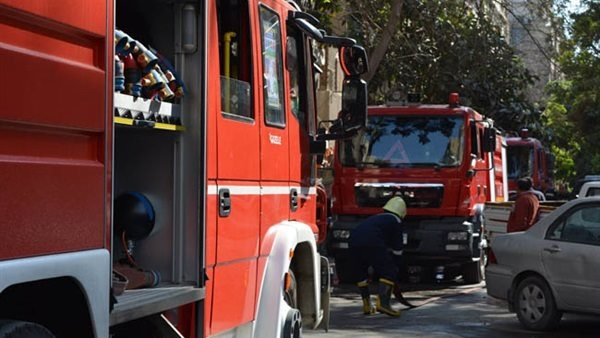 صورة ارشيفيه