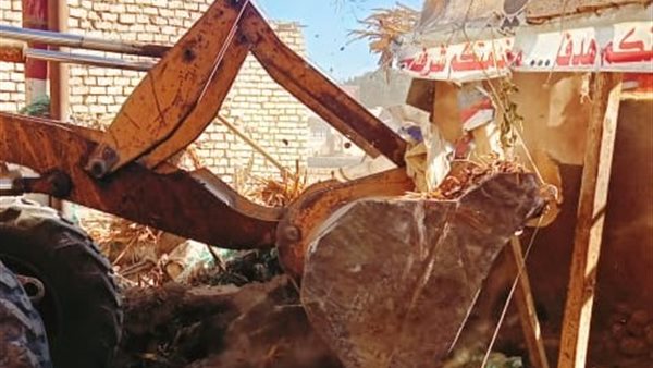 صورة من الحملات