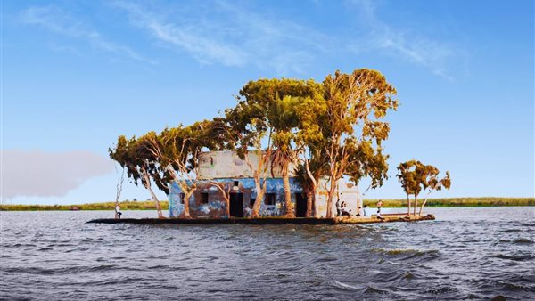 جزيرة الشخلوبة