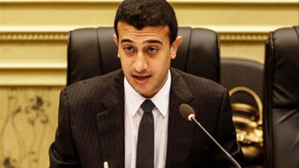 النائب طارق الخولي