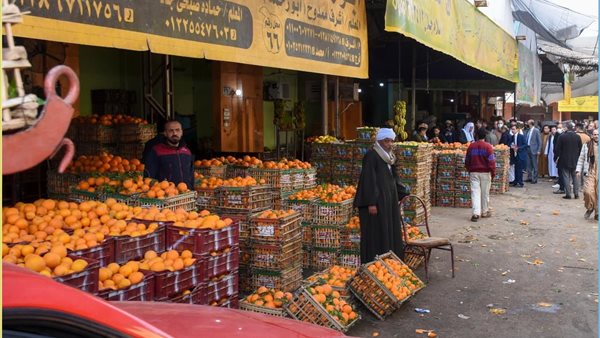 صورة من الافتتاح