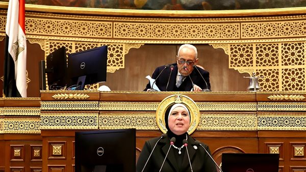 نيفين جامع وزيرة