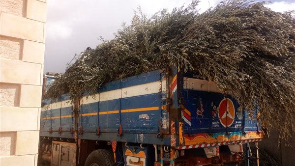 جانب من الحدث