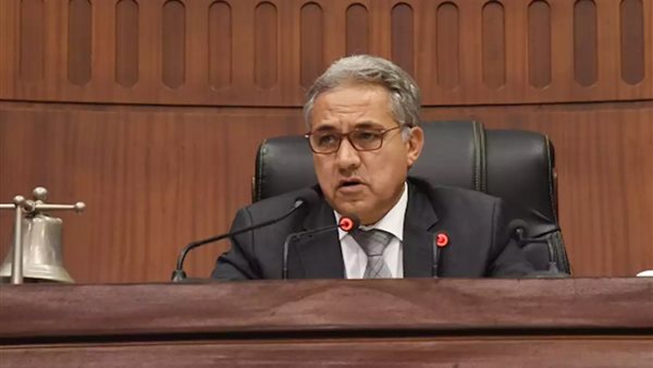 النائب احمد السجيني