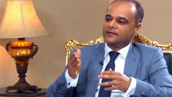 السفير نادر سعد -