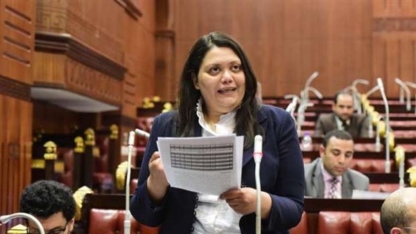 النائبة مارسيل سمير