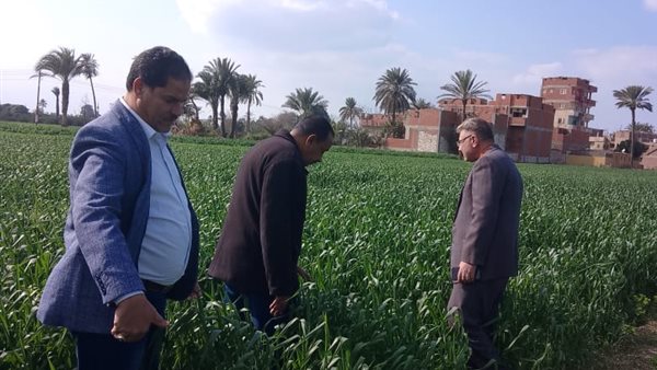 جانب من الحدث