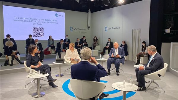 سامح شكري وزير الخارجية