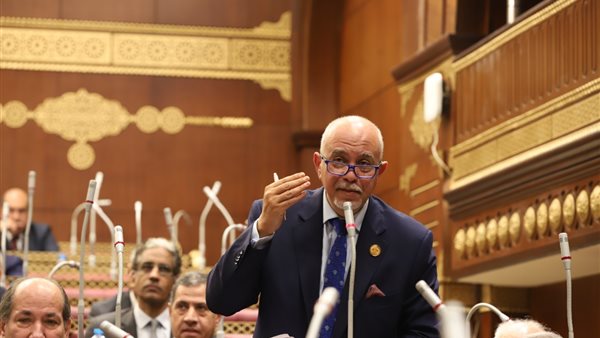 المهندس حازم الجندي