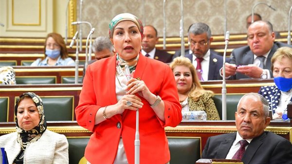  النائبة هالة أبو